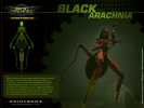 Black Arachnia (233Kb)
